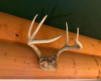 Deer antler mount 