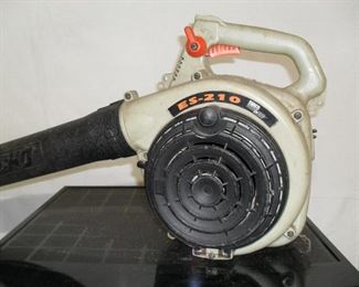 Echo gas blower 