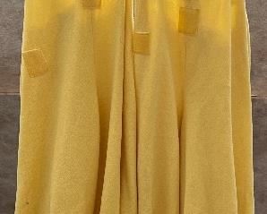 Dr. Seuss The Sneetches Costumes