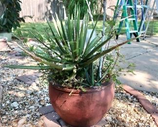 NICE Large Outdoor Potted Plant & Planter