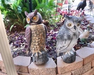 Owl decoys