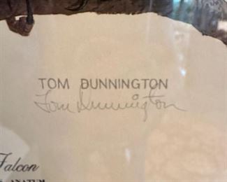 Peregrine Falcon Print by Tom Dunnington