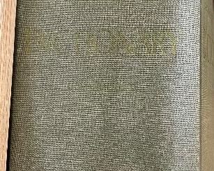 Large Webster Dictionary