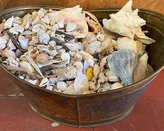 Brass Bucket Full of Seashells