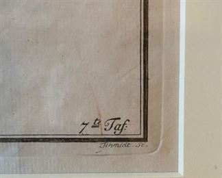 ASP "Cyprinus Aspius Der Raapfe" (plate 7), Copper Engraving Made by Ludwig Schmidt. Photo 3 of 3.