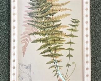 Needlepoint Ferns.