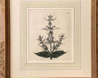 Framed Thistle Botanical Engravings - 2 Available. Each Measures 17" W x 18" H Framed. Photo 2 of 2.