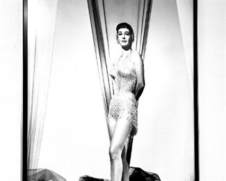 Framed Photograph $149 or bid #39