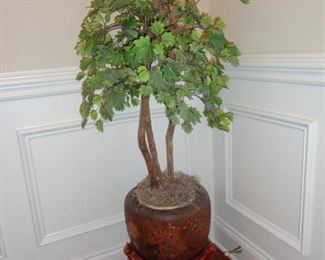 Silk plant 36" tall/ stand 10" tall