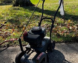 Craftsman edger