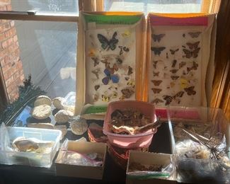 Lots of “natural curiosities”