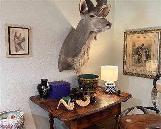 Award winning African Kudu