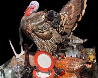 Full Strut Wild Turkey Mount