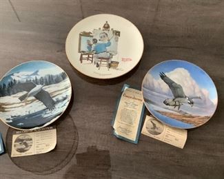 Collector Plates