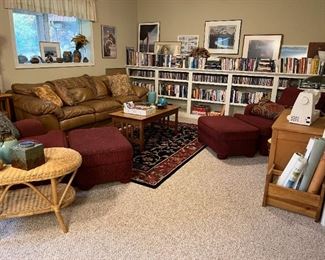 Lower level living room 