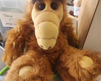 A very unusual teddy bear.