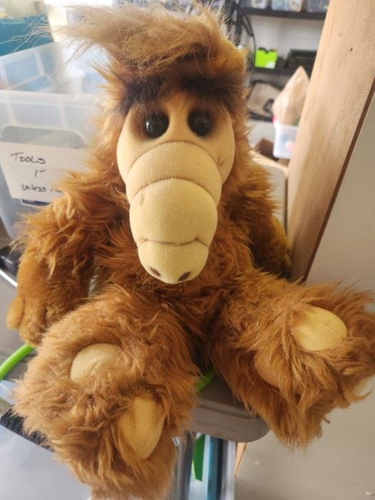 A very unusual teddy bear.