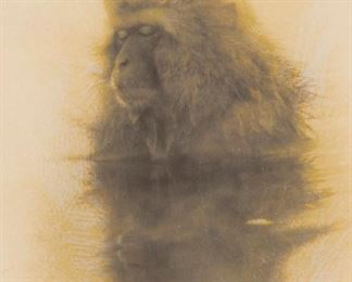63
Masao Yamamoto
b. 1957
Snow Monkey, #1275
Gelatin silver print and mixed media on paper
Edition: 10/40
Signed, numbered, and editioned verso with artist's stamp: Masao Yamamoto
Image/Sheet: 2.375" H x 1.625" W
Estimate: $500 - $700