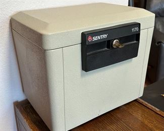 Sentry 1170 File Safe	14 x 15 x 11in	HxWxD
