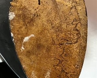 Vintage Wood Cow Head Wall Decor	25“ x 15“ x 13.5“.	HxWxD
