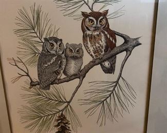 Owl Print- The Screech Owl - Signed Albert Earl Gilbert 1976	Frame measurements 31 x 25	
