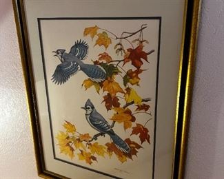 Bluejay Print- The Bluejay - Signed Albert Earl Gilbert 1976	Frame measurements 31 x 25	
