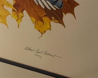 Bluejay Print- The Bluejay - Signed Albert Earl Gilbert 1976	Frame measurements 31 x 25	
