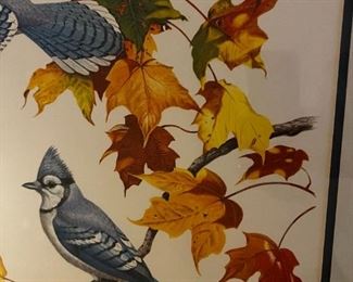 Bluejay Print- The Bluejay - Signed Albert Earl Gilbert 1976	Frame measurements 31 x 25	
