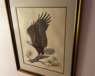 American bald eagle Print- The American bald eagle - Signed Albert Earl Gilbert 1976	Frame measurements 31 x 25	
