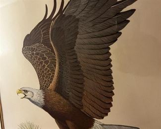 American bald eagle Print- The American bald eagle - Signed Albert Earl Gilbert 1976	Frame measurements 31 x 25	
