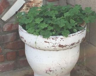 Plants, pots and yard art.