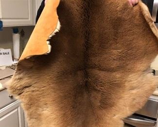Kangaroo Pelt