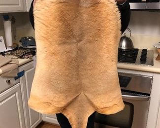 Wallaby Pelt