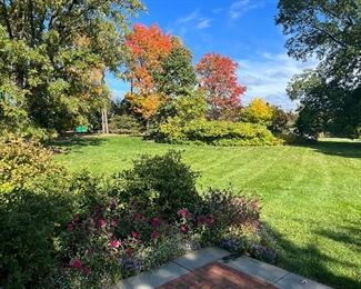 Absolutely Beautiful 11 Acres around the Home