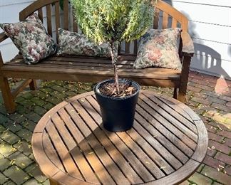 Again, more teak furniture - two additional side chairs, a love seat, coffee table and a chaise lounge with cushion.  This is marvelous quality.