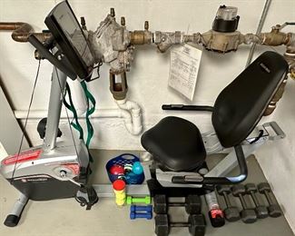 Schwinn Recumbent Bicycle, Weights, exercise ball...