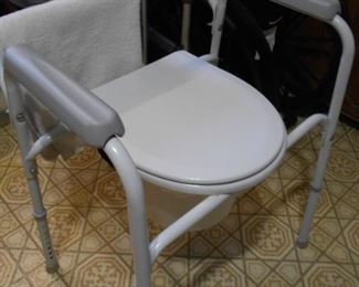 Potty Chair