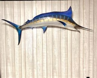 Blue Marlin Fish Mount - GORGEOUS!