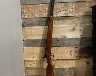 Remington .22 Short Long Rifle