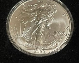 2022 SILVER American Eagle