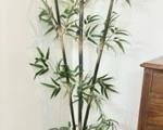 Artificial bamboo in tall conical pot