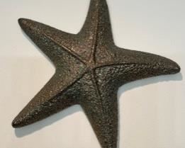 Brass large starfish for wall
