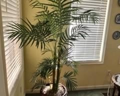 Huge artificial palm in heavy duty basket pot, moss