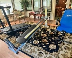 A room FULL of exercise equipment. Furniture, checkers set, and area rug also for sale. 