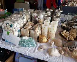Misc- Sea Shells and Decor