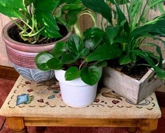 Beautiful Plants Stool 16x12 Inches, African Violet, Devils Ivy, Bamboo, Peace Lily