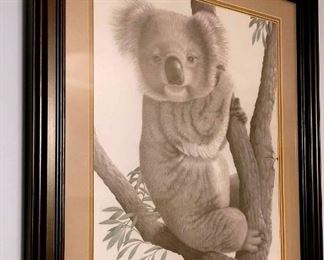 Harold Rigsby Limited Edition Fine Art Print of Koala Bear