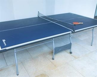 Large Ping Pong Table