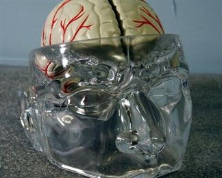 Flexible Spine Model With Pelvis With 20" Stand And Seroqual 5-Piece Brain Model