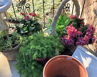 Bird bath; plants and planters
